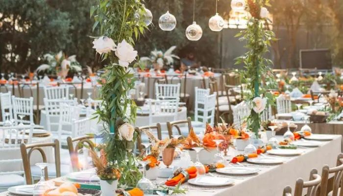 Is WedSafe Event Insurance Worth It? Find Out Now