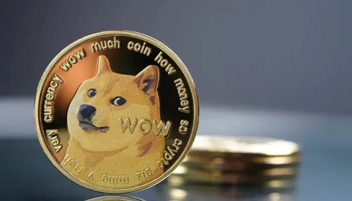 Dogecoin DOGE: How to Mine and Store Safely