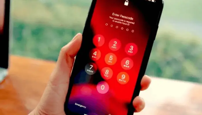 Free Phone from the Government Find Out How to Apply Today